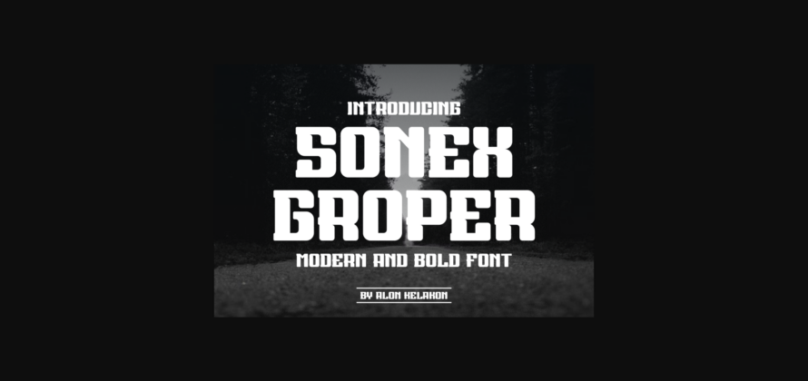 Sonex Groper Font Poster 3