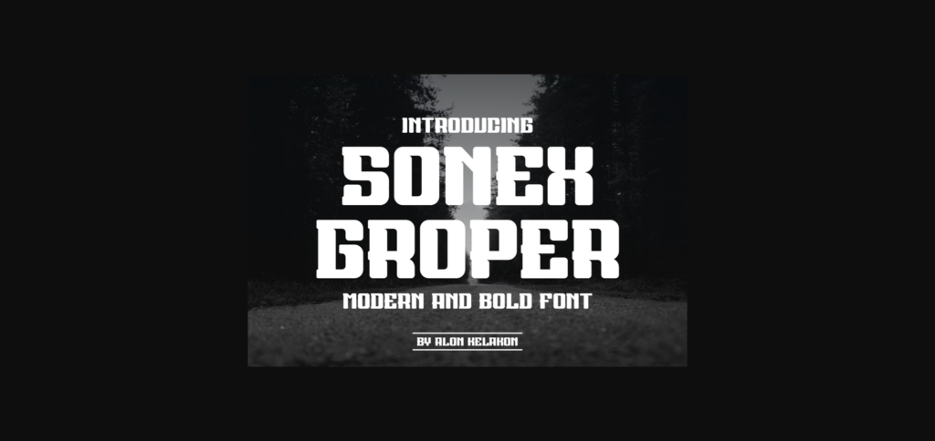 Sonex Groper Font Poster 1