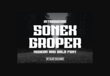 Sonex Groper Font Poster 1