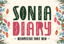 Sonia Diary Font Poster 1