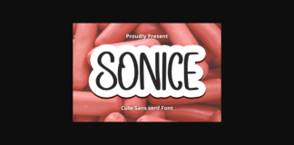 Sonice Font Poster 1