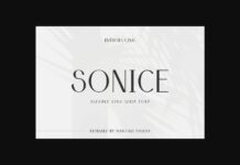 Sonice Font Poster 1