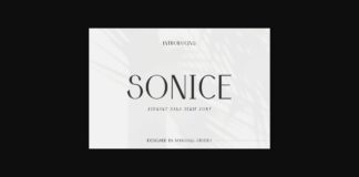 Sonice Font Poster 1