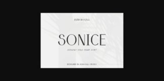 Sonice Font Poster 1