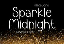 Sparkle Midnight Font Poster 1
