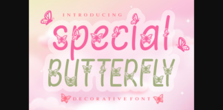 Special Butterfly Font Poster 1