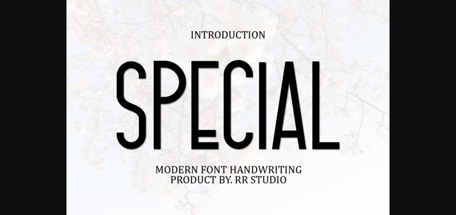 Special Font Poster 3