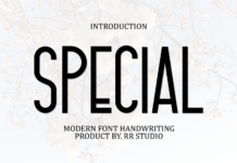 Special Font Poster 1