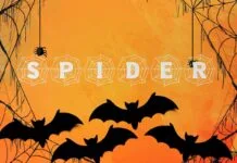 Spider Monogram Font Spider Monogram Font Poster 1