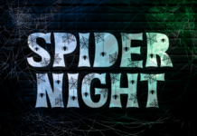 Spider Night Font Poster 1