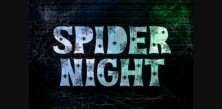 Spider Night Font Poster 1