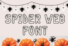 Spider Web Font Poster 1