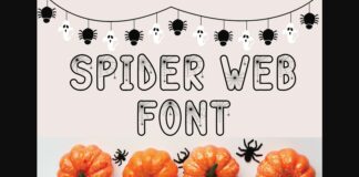 Spider Web Font Poster 1