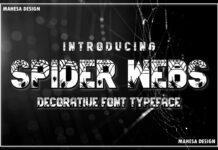 Spider Webs Font Poster 1