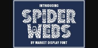 Spider Webs Font Poster 1