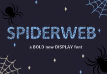 Spiderweb Font Poster 1