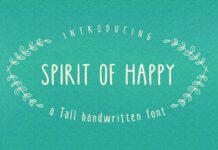 Spirit of Happy Font Poster 1