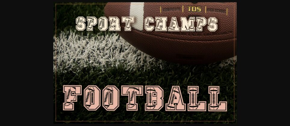 Sports Champs Font Poster 11