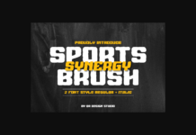 Sports Synergy Brush Font Sports Synergy Brush Font Poster 1