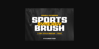 Sports Synergy Brush Font Poster 1