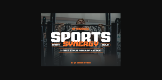 Sports Synergy Font Poster 1