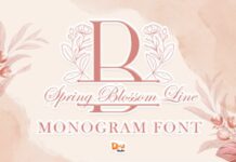 Spring Blossom Line Monogram Font Poster 1