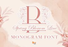 Spring Blossom Line Monogram Font Poster 1