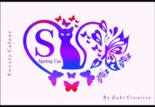 Spring Cat Font Poster 1