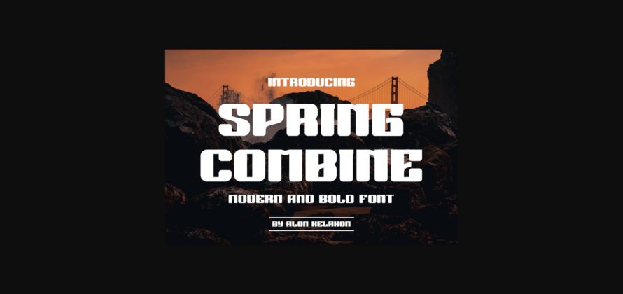 Spring Combine Font Poster 3