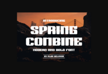 Spring Combine Font Poster 1