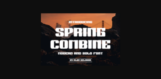 Spring Combine Font Poster 1