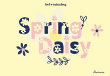 Spring Daisy Font Poster 1