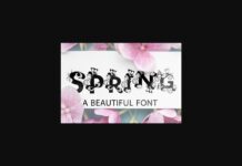 Spring Font Poster 1