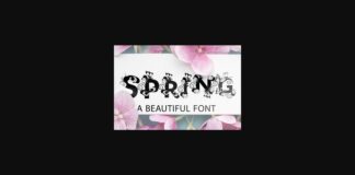 Spring Font Poster 1