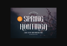 Spring Hontinga Font Poster 1