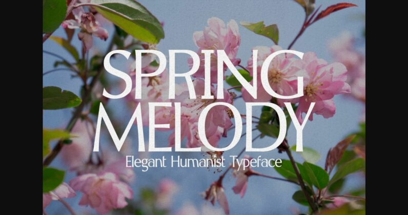 Spring Melody Font Poster 3