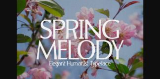 Spring Melody Font Poster 1