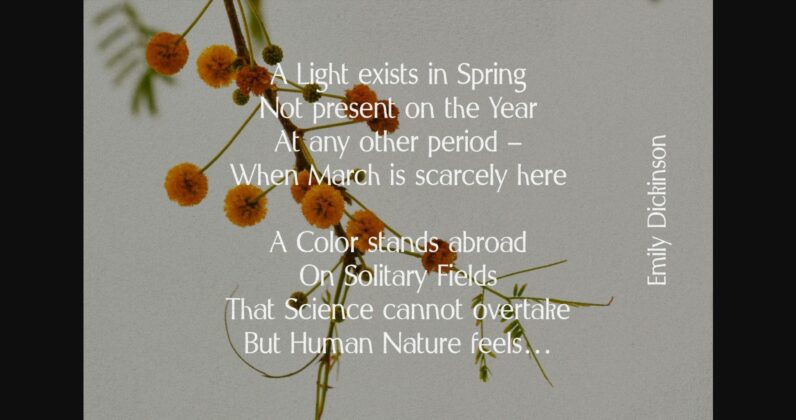 Spring Melody Font Poster 8