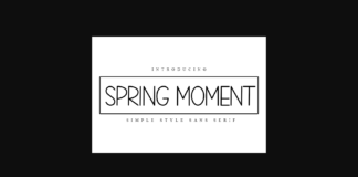 Spring Moment Font Poster 1