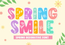 Spring Smile Font Poster 1