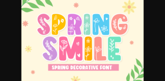 Spring Smile Font Poster 1