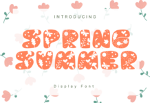 Spring Summer Font Poster 1