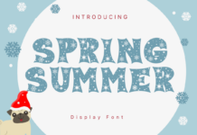 Spring Summer Font Poster 1