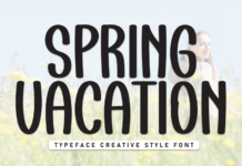 Spring Vacation Font Poster 1