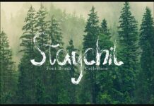 Staychil Font Poster 1