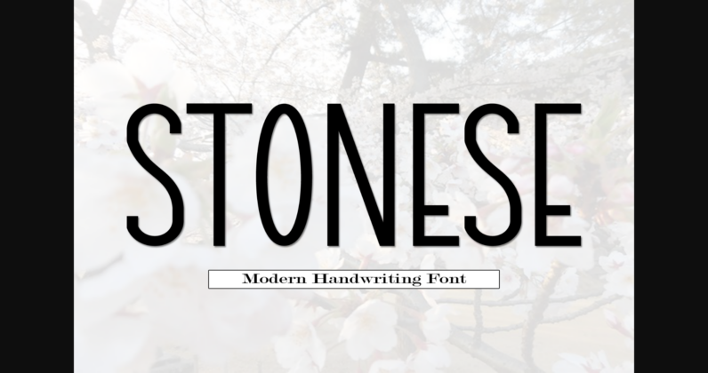 Stonese Font Poster 3