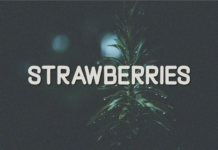 Strawberries Font Poster 1
