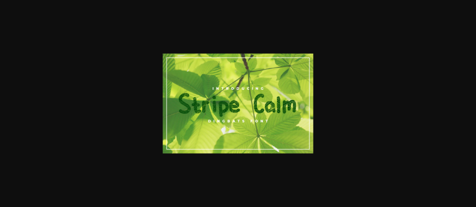 Stripe Calm Font Poster 3