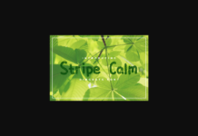 Stripe Calm Font Poster 1