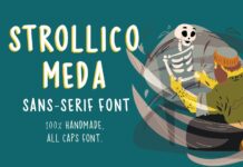 Strollico Meda Font Poster 1